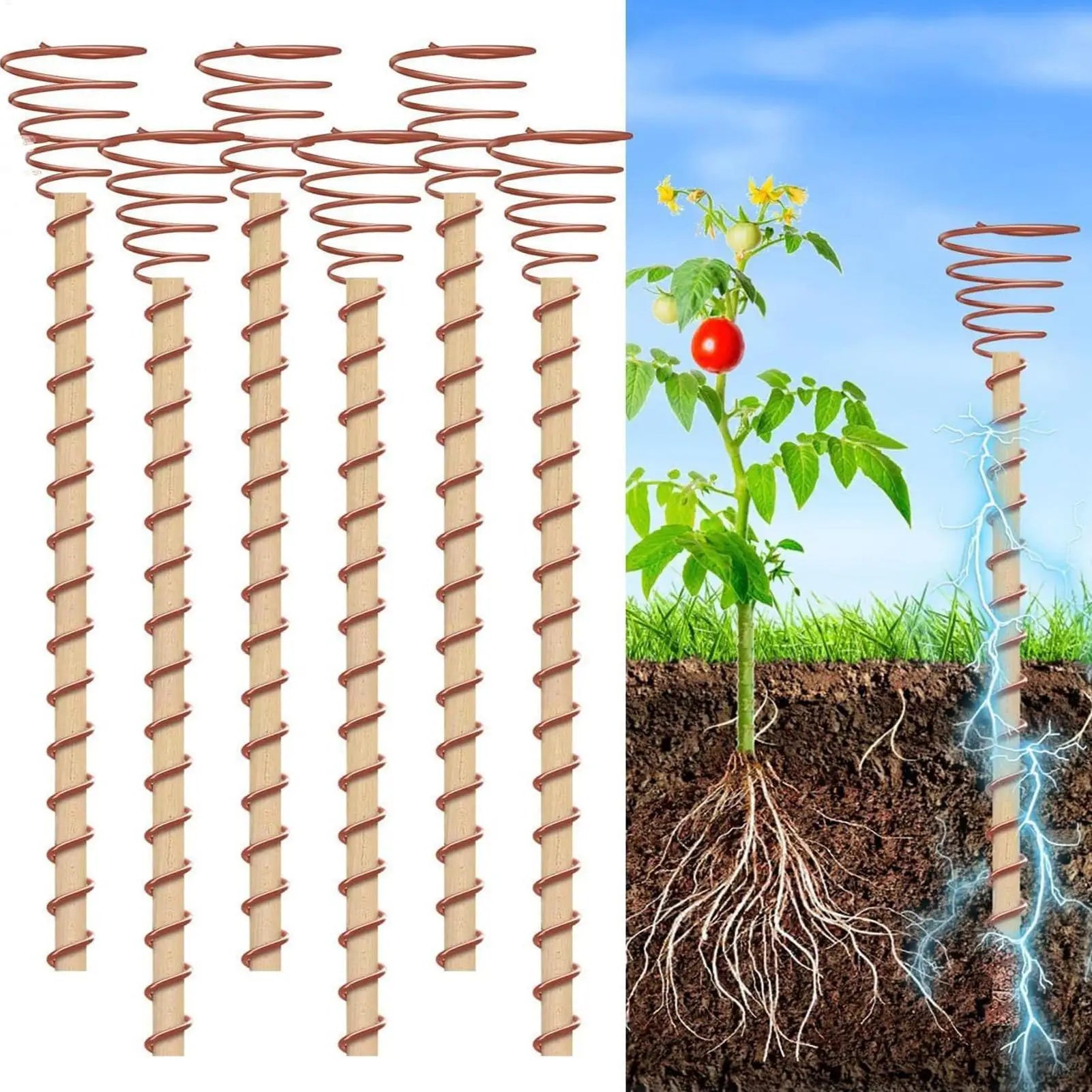 6Pcs Electroculture Plant Stakes Garden Coppers Coils Antennas for Growing Garden Plant Vegetables Using for Plants Fruits Peaceful Pleasures Health and Wellness