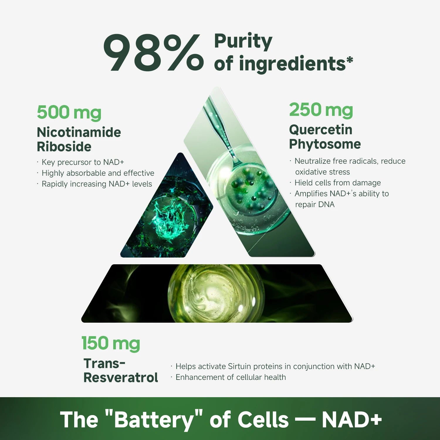 NR900 Supplement - Liposomal Nicotinamide Riboside, Resveratrol, Quercetin by Quitmood- High Purity NAD Supplement for Ski Peaceful Pleasures Health and Wellness