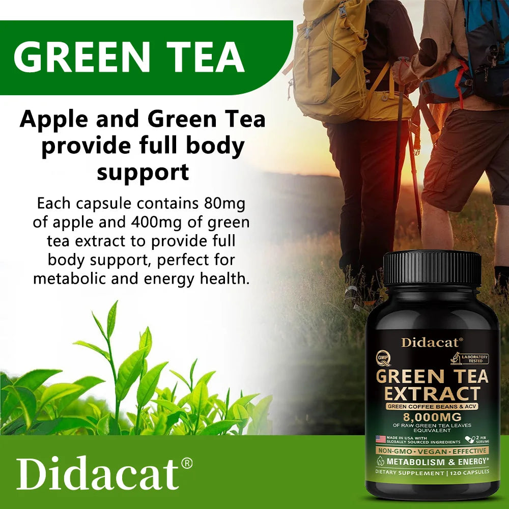 VITALXTRA Green Tea Extract Capsules | Energy & Metabolism