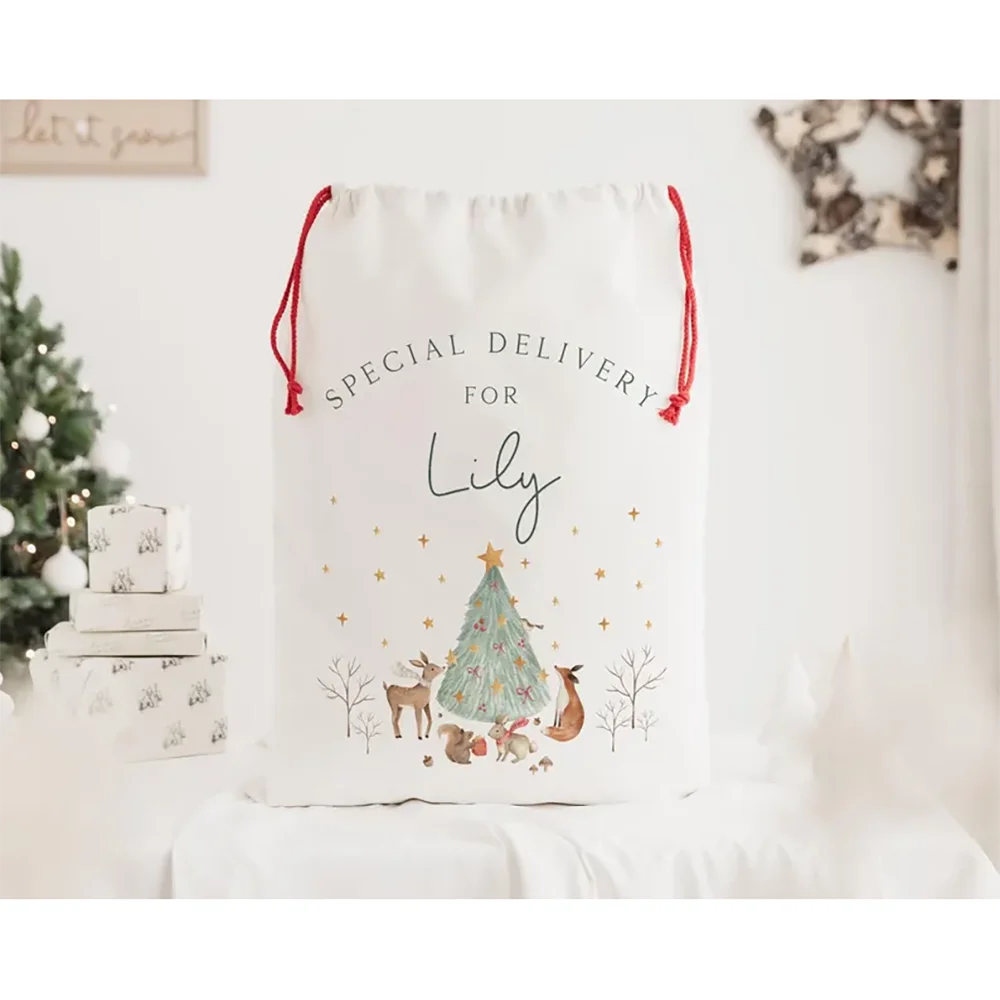 Custom Santa Sack Set 2Pcs | Baby's First Christmas Gift Bag Christmas Gift Sack Peaceful Pleasures Health and Wellness