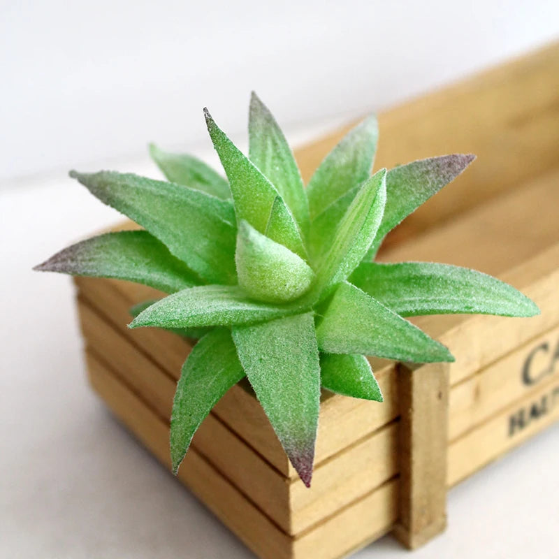 Artifical Plastic Succulent Plant Realistic Textured Cactus Mini Faux