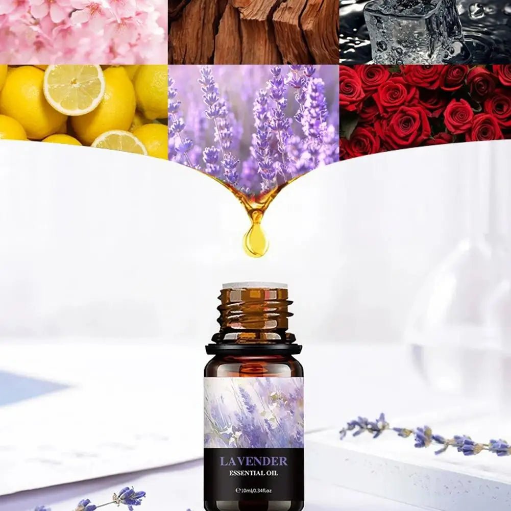 10ml Essential Oils for Diffuser & Humidifier | 15 Scents
