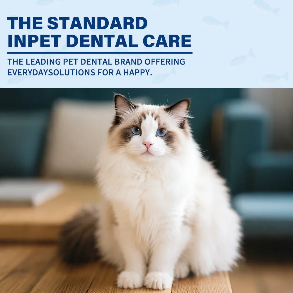Pet Dental Care Kit – Toothpaste, Toothbrush & Finger Brush