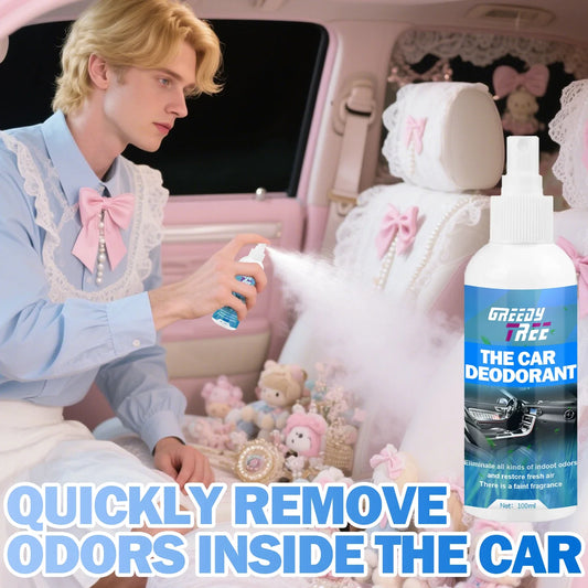 Car Air Freshener Antibacterial AC Deodorizer Spray Car Air Freshener Oasis Select