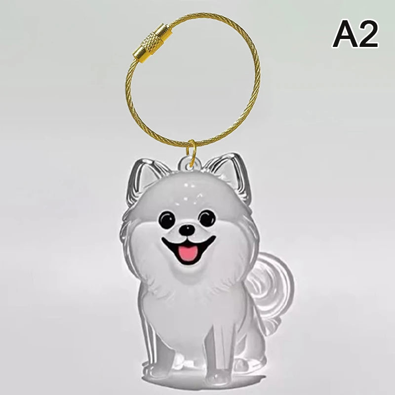 Clear Dog Fur Keepsake Keychain – DIY Pet Memorial Gift