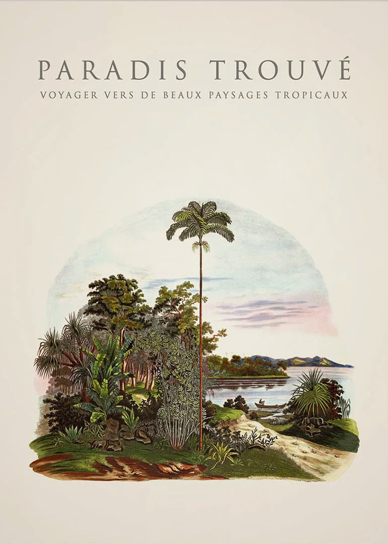 Tropical Palm & Banana Tree Vintage Botanical Canvas Wall Art Botanical Canvas Print Peaceful Pleasures Health and Wellness