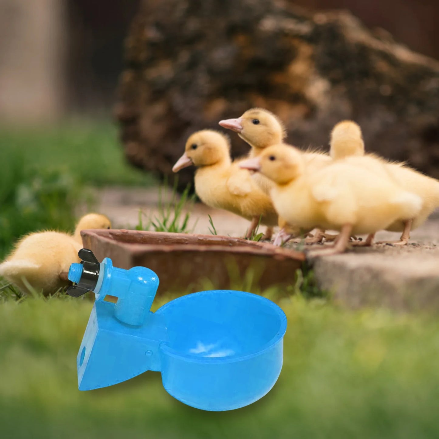 6pcs Poultry Feeder Drinker Hanging Automatic Poultry Drinking Water Bowl Plastic Practical Convenient for Farm Animal Feeding Peaceful Pleasures Health and Wellness
