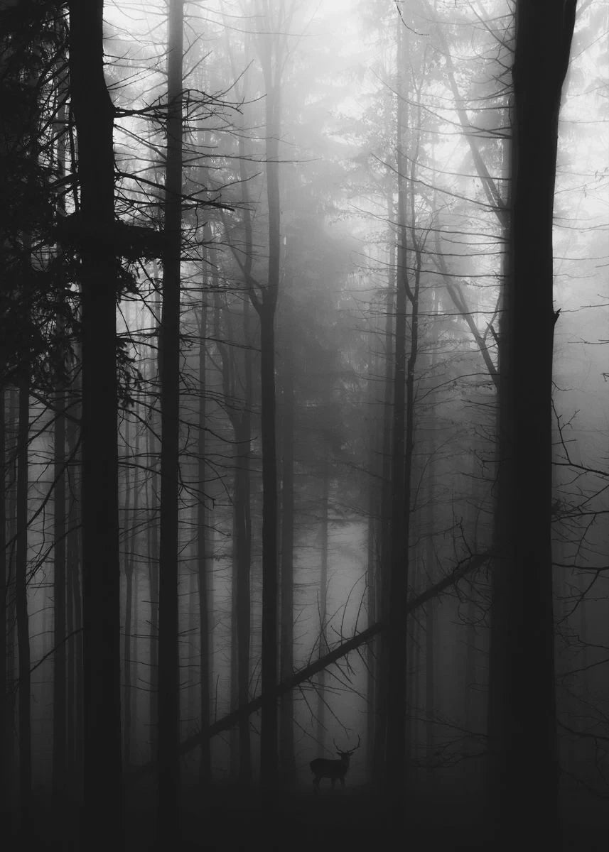 Dark Green Forest Foggy Mountain Canvas Wall Art | Nature Print