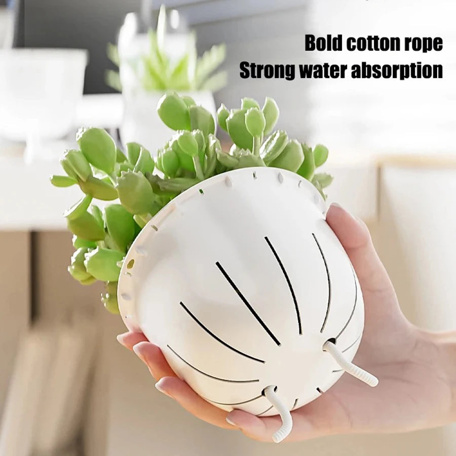 Self-Watering Plant Pots with Reservoir – Double Layer Clear Planter for African Violets & Indoor Plants