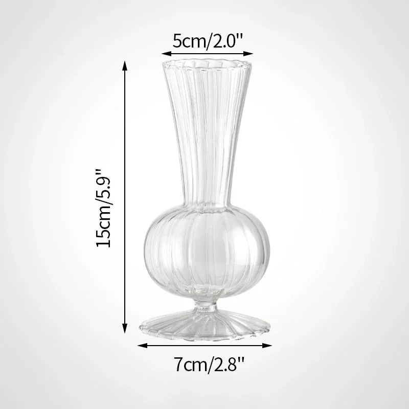 Vintage Transparent Glass Vase | Flower Bottle & Plant Pot