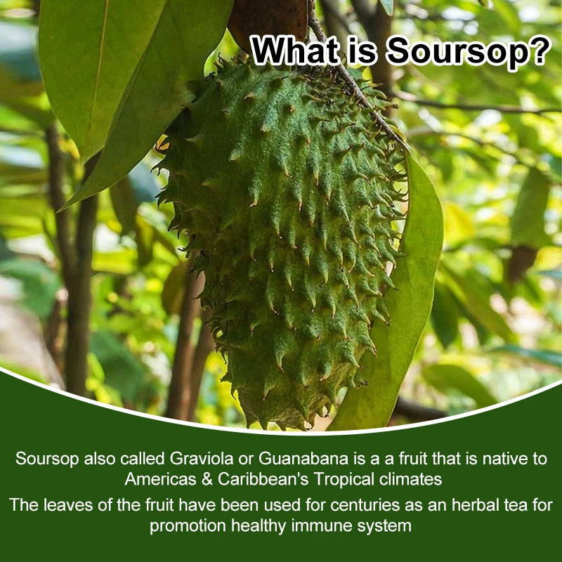 Mulittea Soursop Graviola Capsules – Immune & Digestive Support Herbal Supplements Peaceful Pleasures Health and Wellness