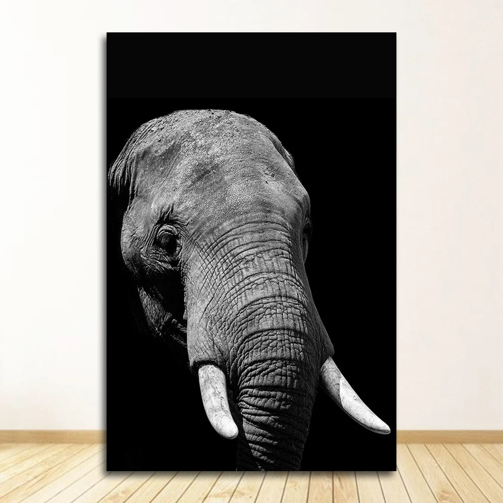 Black & White Animal Canvas Wall Art | Zebra Lion Leopard