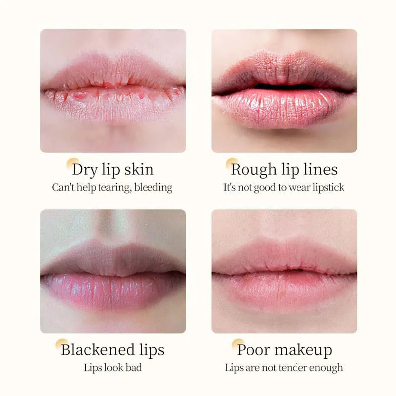 BIOAQUA Vitamin E Honey Lip Balm – Moisturizing & Nourishing