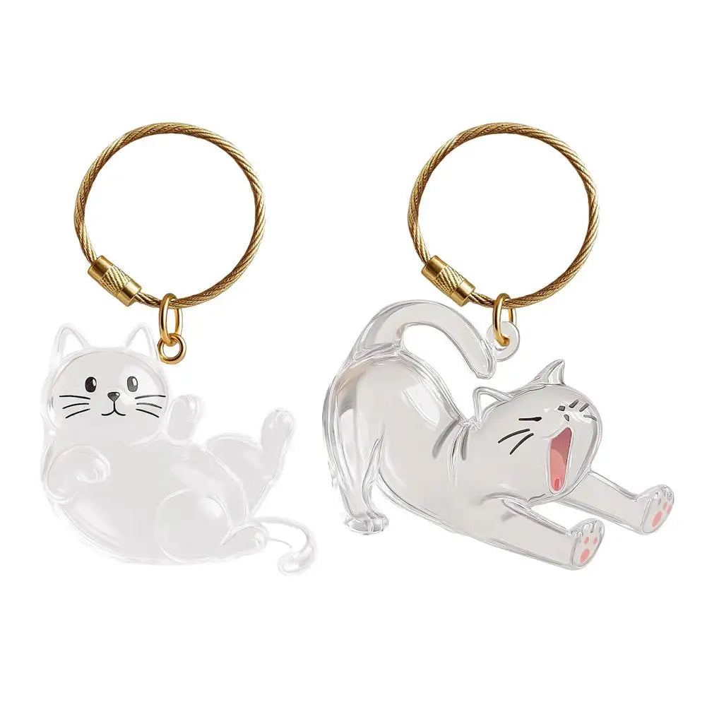 Cat Hair Storage Keychain | Transparent Acrylic Capsule Pendant