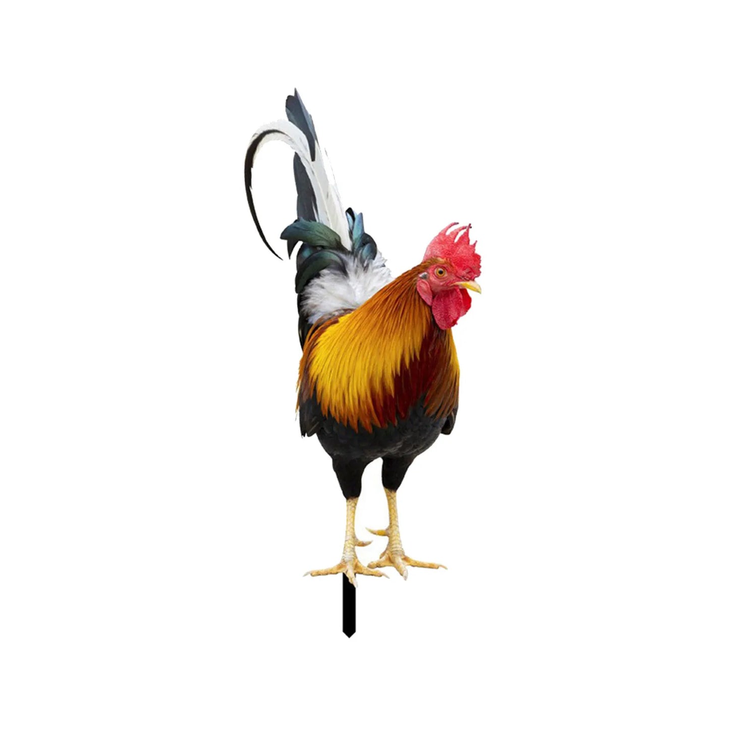 2D Flat Garden Statues Ornaments For Hen Chicken Decorations Sculptures Yard Art Outdoor Decorations Rooster Statue Art Deco Peaceful Pleasures Health and Wellness 1PC 2 One Size