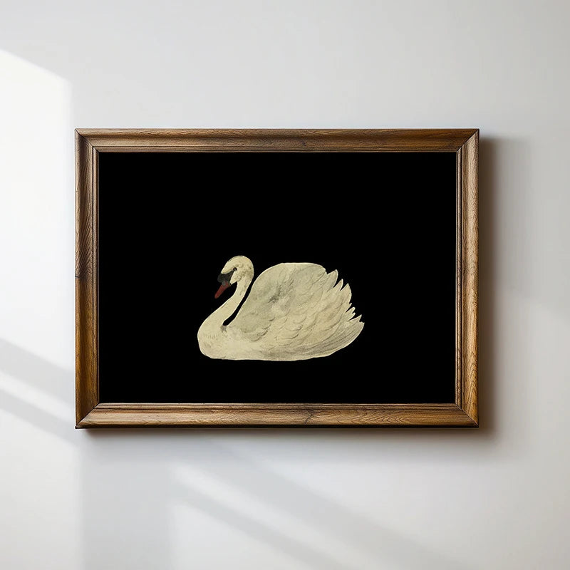 Antique Swan Watercolor Canvas Wall Art | Farmhouse Decor