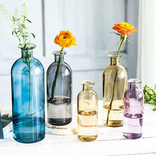 Transparent Glass Flower Vase | Modern Hydroponic Table Decor Glass Flower Vase Oasis Select