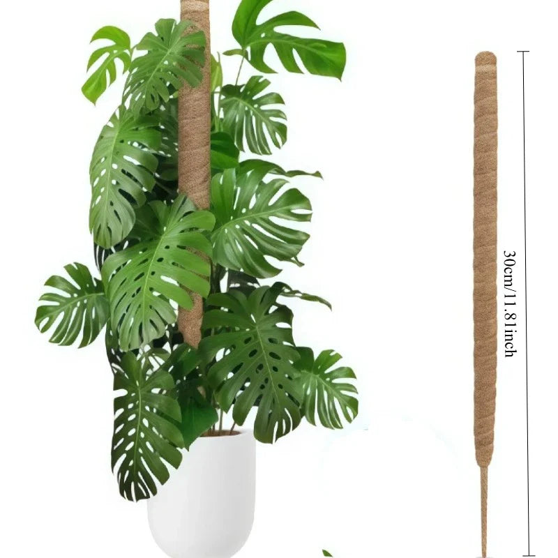 Bendable Coco Coir Moss Pole for Monstera & Climbing Plants