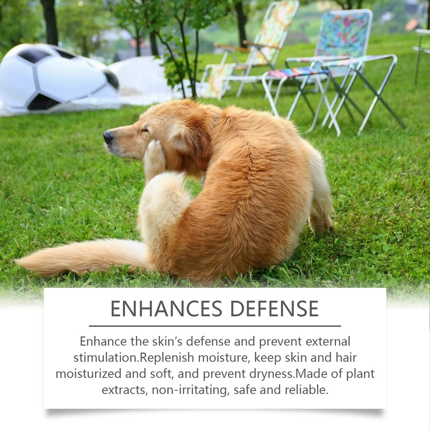 Dog Shampoo Conditioner Moisturizing for Sensitive Skin PH Balanced Anti Itching Flea Killer Dirt Mite Removal Pet Cleaning Foam Peaceful Pleasures Health and Wellness