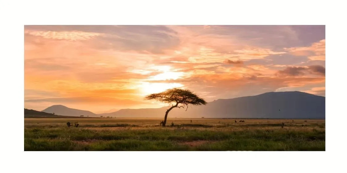 Beach Sunset Wall Art Posters Large Landscape Canvas Painting Print Nordic Wall Decoration Picture for Home Decor Unframed Peaceful Pleasures Health and Wellness ZLH2504 30x60cm No Frame