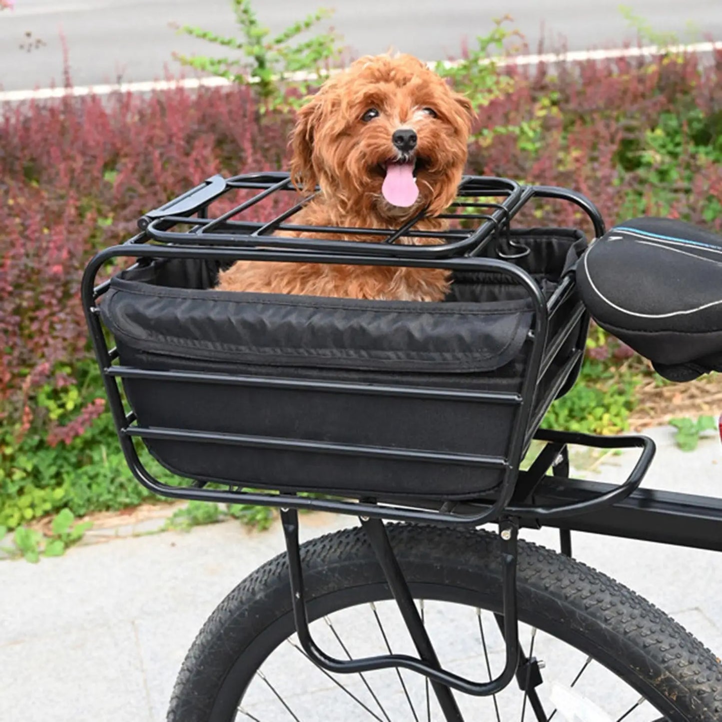 Heavy Duty Bike Rear Basket | Pet Carrier & Cargo Case Bike Rear Basket Peaceful Pleasures Health and Wellness