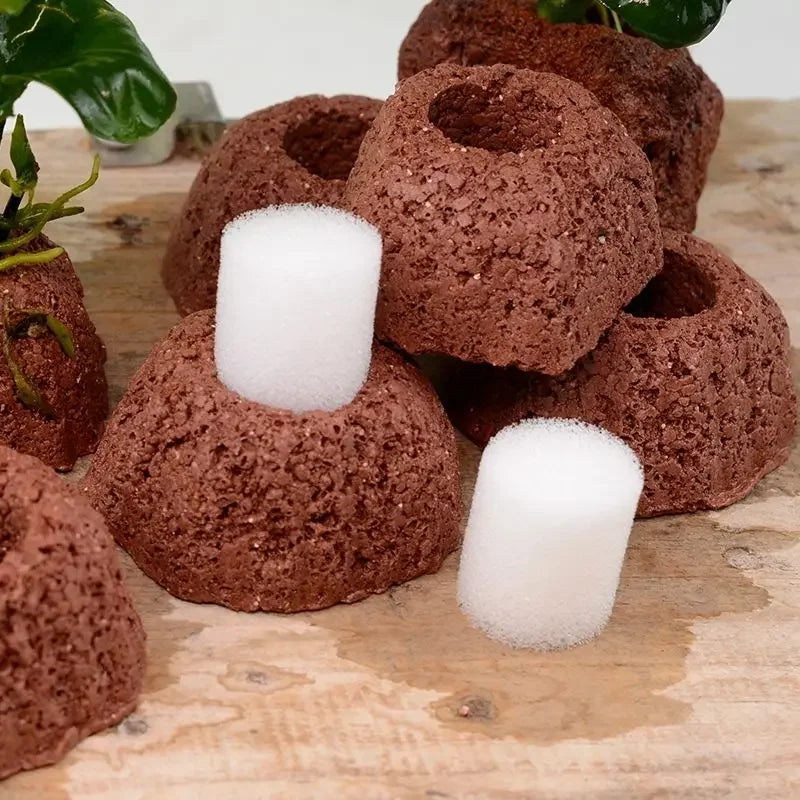 Ceramic Aquatic Plant Gravity Rings | Fish Tank Decor Set