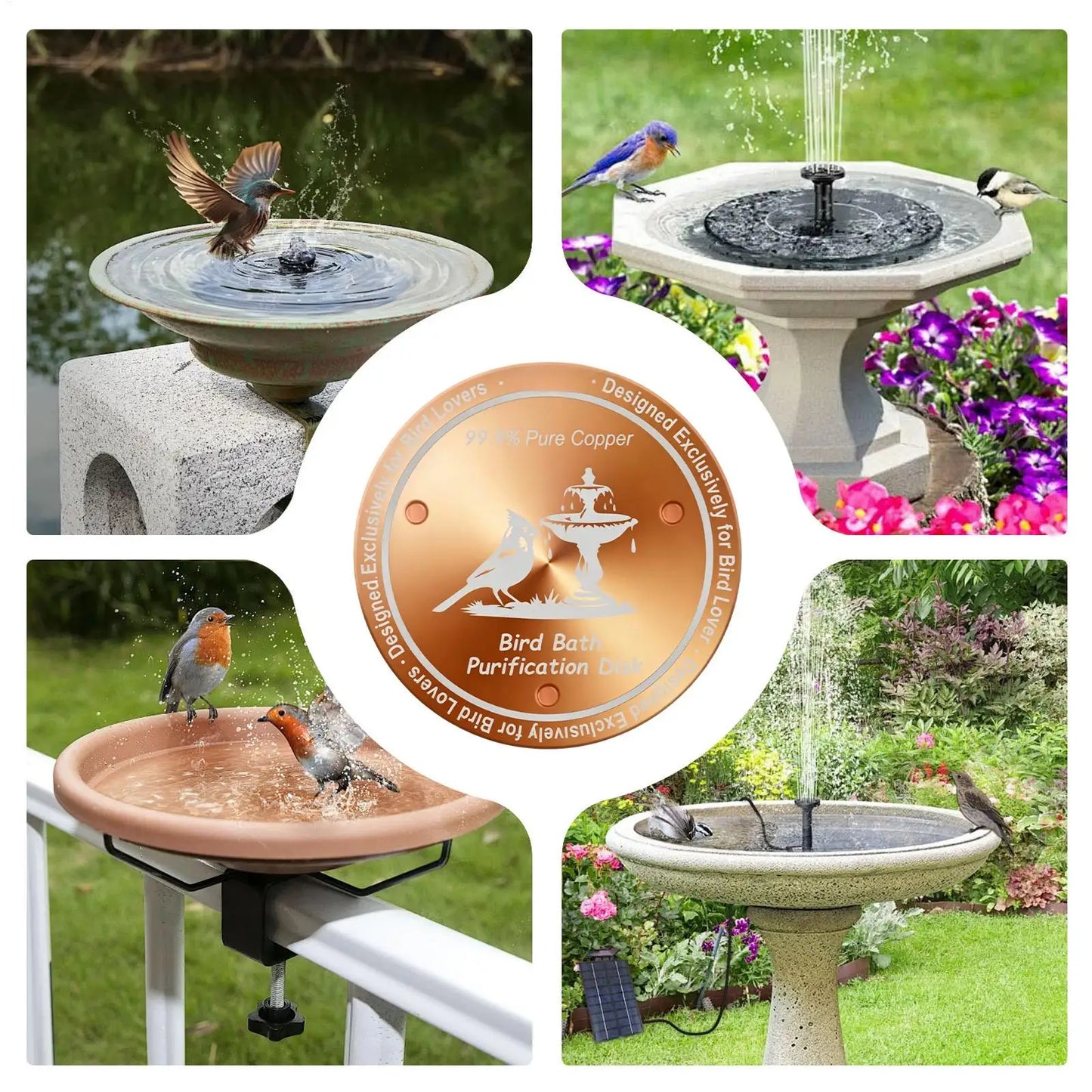 Copper Bird Bath Purification Disk – Natural Algae Cleaner