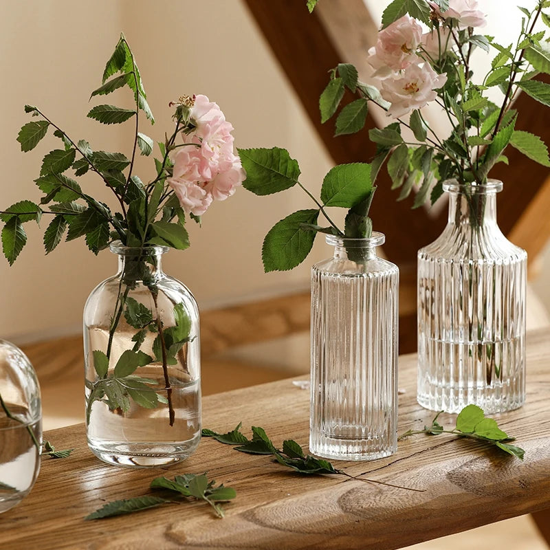 Vintage Transparent Glass Vase | Flower Bottle & Plant Pot