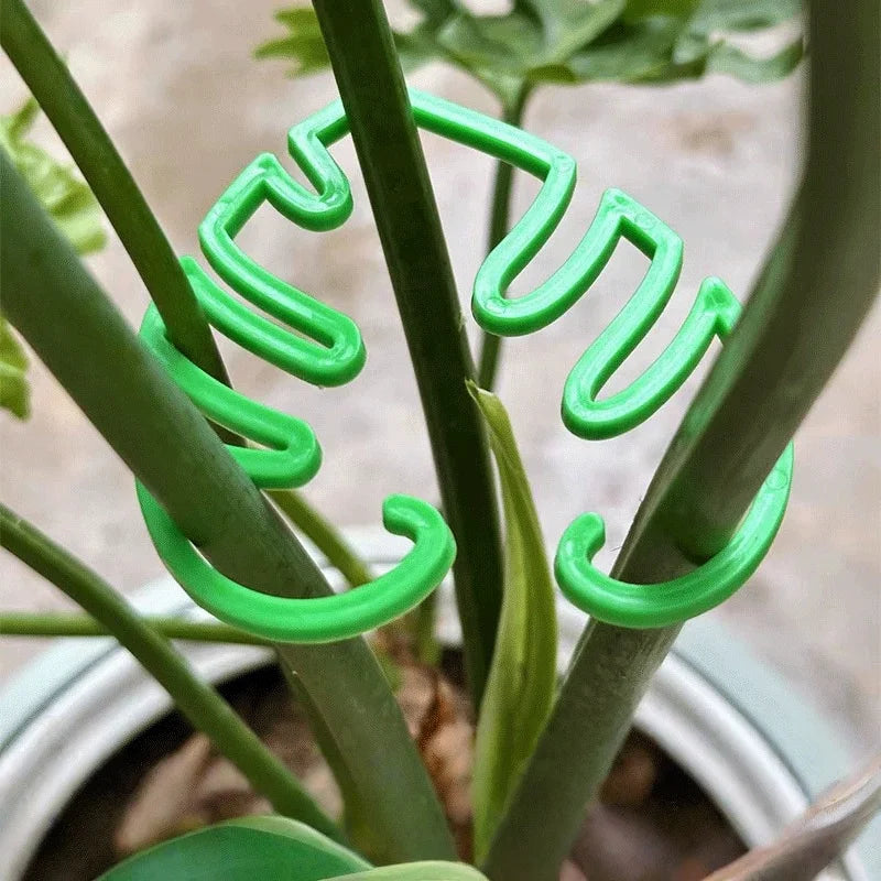 2-Pack Turtle Shell Plant Stem Support Clips for Climbing Plants Plant Support Clips Peaceful Pleasures Health and Wellness