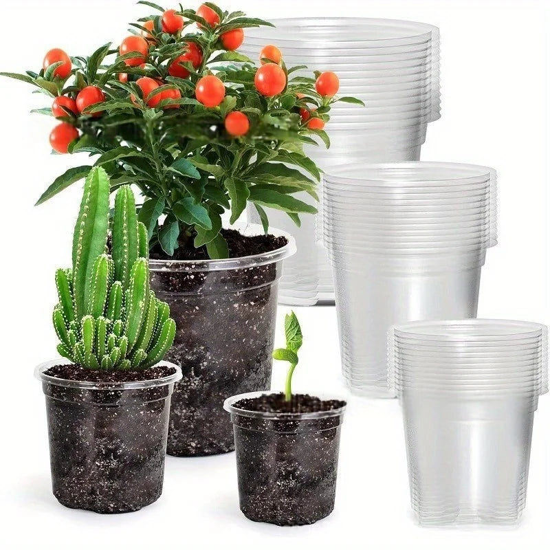 Clear Nursery Pots with Drainage Holes – Transparent Variety Pack Nursery Planter Pots Peaceful Pleasures Health and Wellness