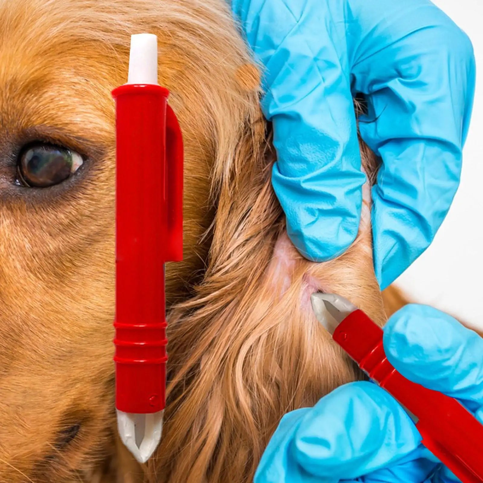 Pet Tick Remover Kit – 3 Hooks & Tweezer | Dogs, Cats & More Tick Remover Kit Peaceful Pleasures Health and Wellness