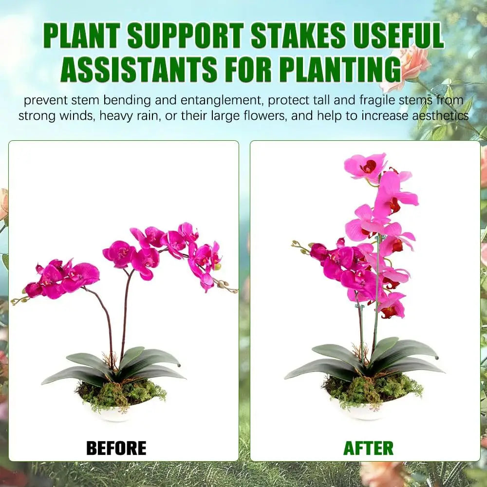 5/10PCS Plant Supports Stand Butterflies Orchid Flower Potted Fixing Rods Reusable Vegetable Protection Fixing Tool Gardening Su Peaceful Pleasures Health and Wellness