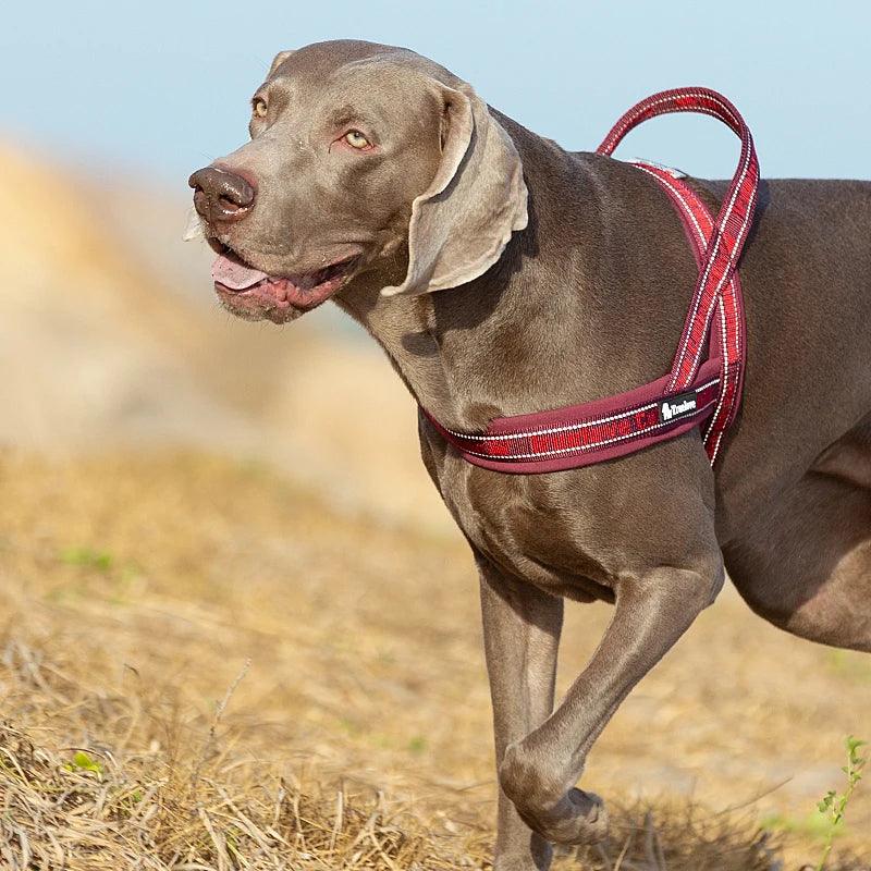 Truelove Reflective Breathable Dog Harness Vest – TLH58121 Peaceful Pleasures Health and Wellness Wine Red S China Mainland