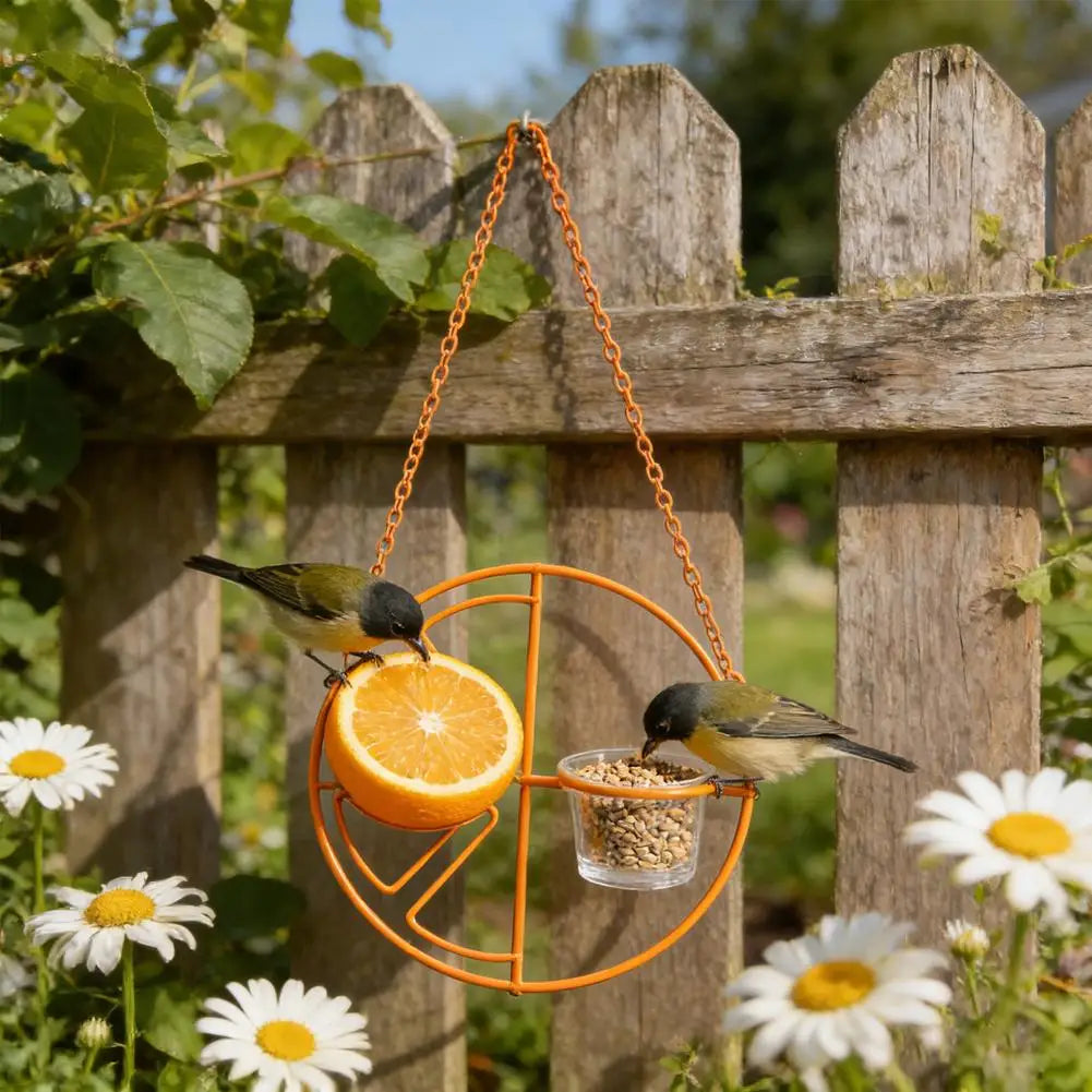 Oriole Bird Feeder Fruit Slice Design | Hanging Glass Cup