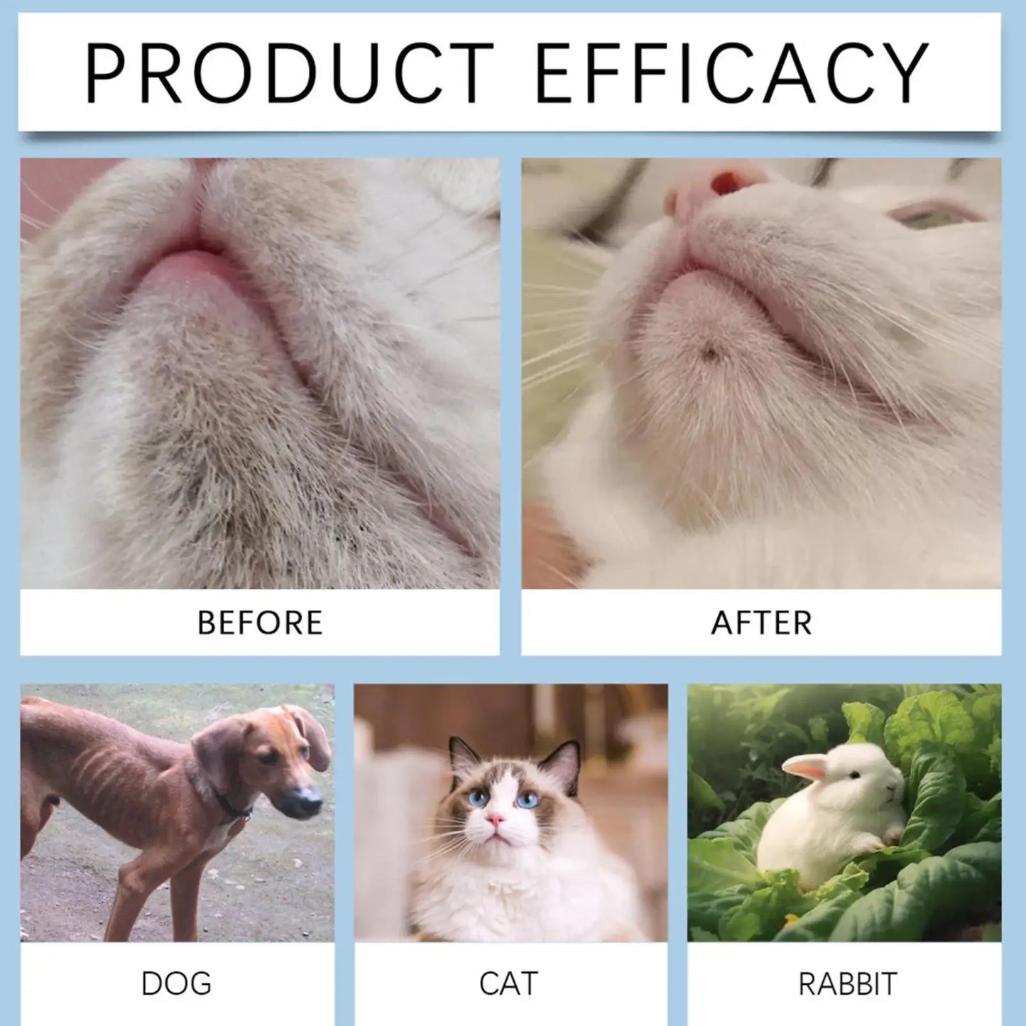 Pet Chin Cleaner Kit – Grooming Lotion & Brush for Cats & Dogs