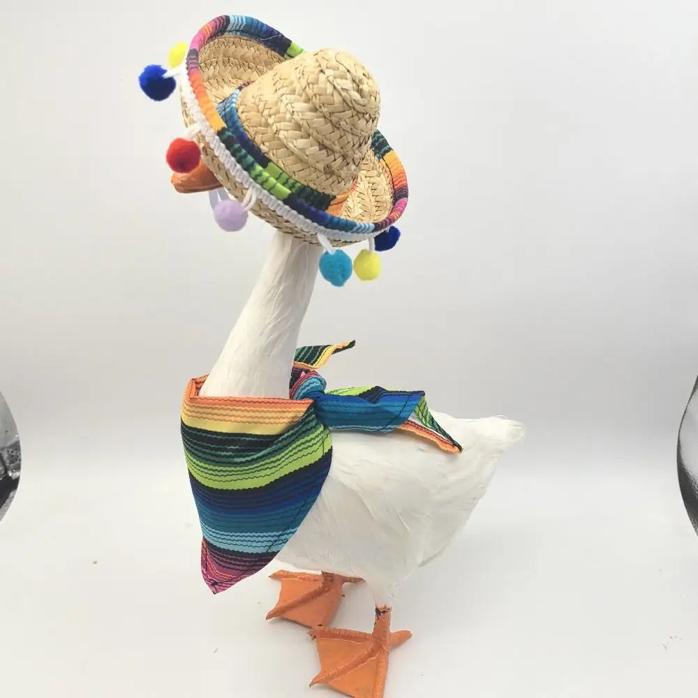 Mexican Pet Hat Scarf & Glasses Costume Set for Small Dogs