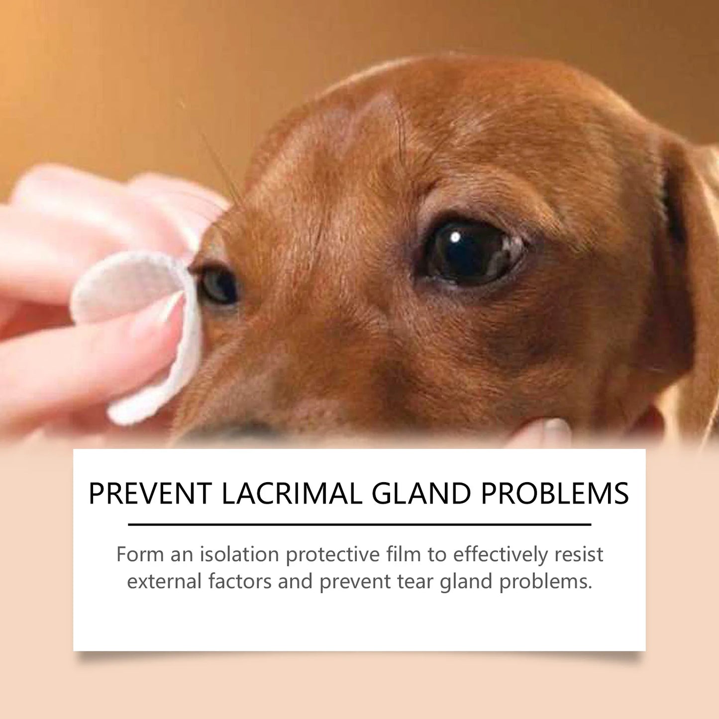 YEGBONG Pet Tear Stain Cleaning Cream – Dogs & Cats
