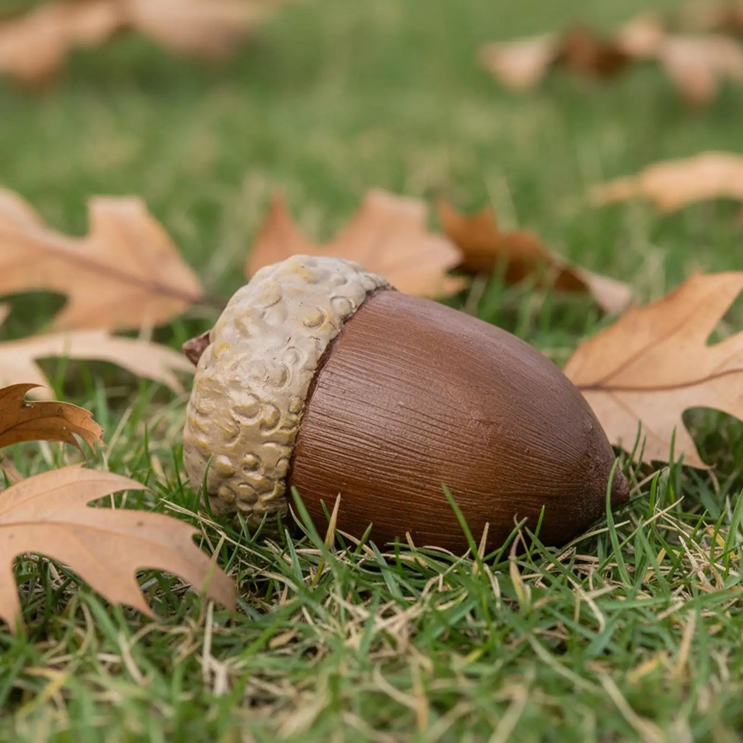 Hazelnut Secret Safe Box | Waterproof Resin Disguised Stash