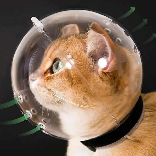 Cat Bubble Muzzle – Breathable Transparent Grooming Helmet Pet Grooming Muzzle Oasis Select