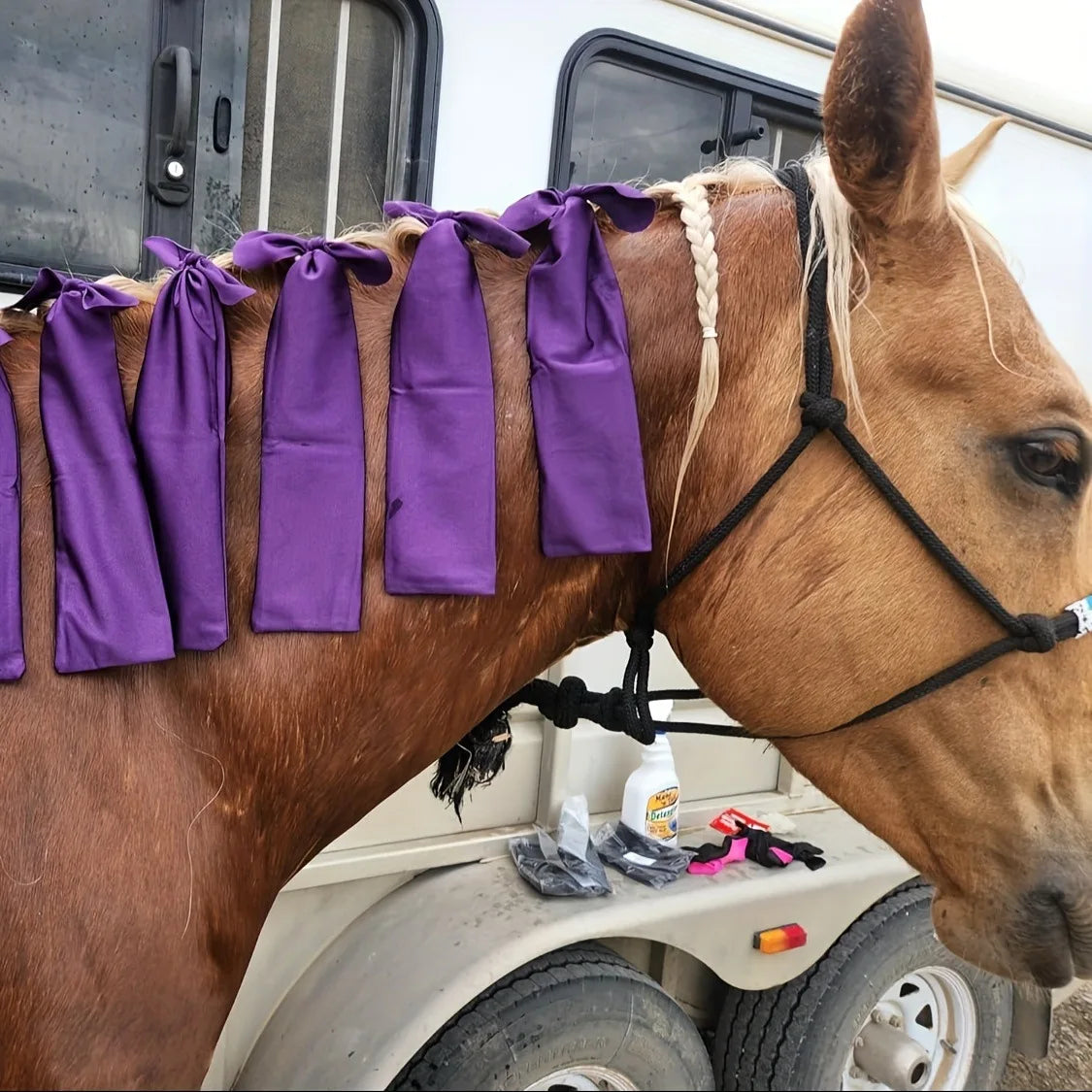 8-Pack Horse Mane Protection Sleeves | Anti-Friction Mane Guard