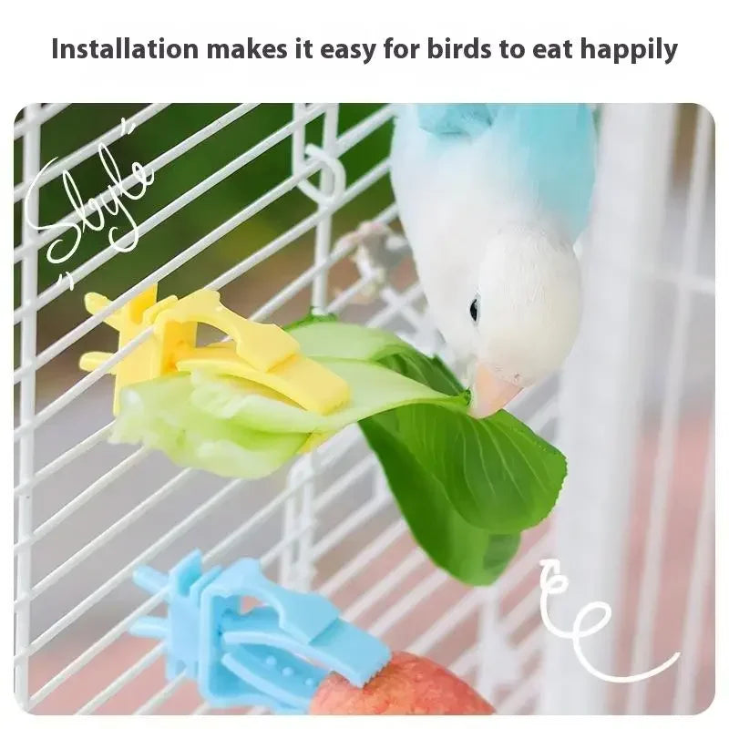 Bird Cage Food Clip Holder – Parrot Fruit & Veggie Feeder 2/4 Pack