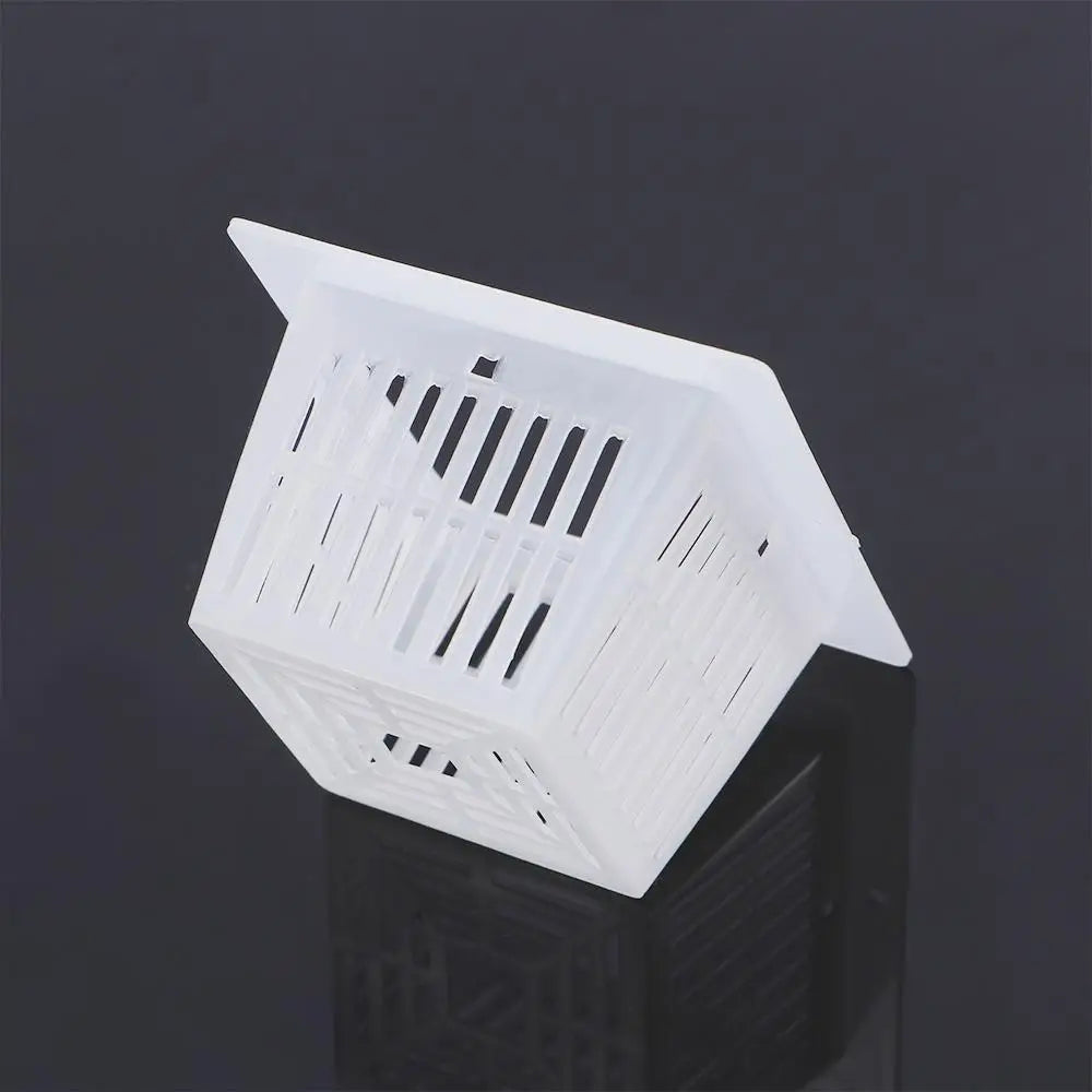 10-Pack Hydroponic Mesh Net Cups – Clone & Nursery Basket Pots