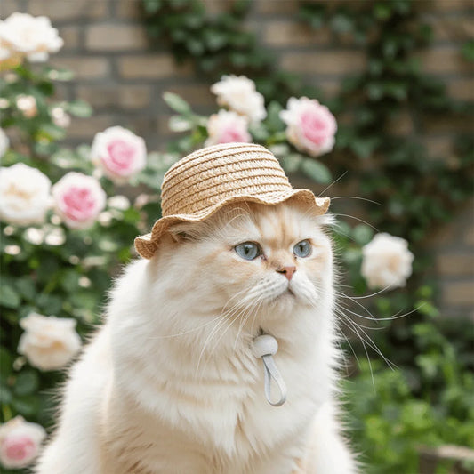 Adjustable Pet Straw Hat | Wide Brim Dog Sun Cap & Photo Prop Pet Costume Hat Peaceful Pleasures Health and Wellness