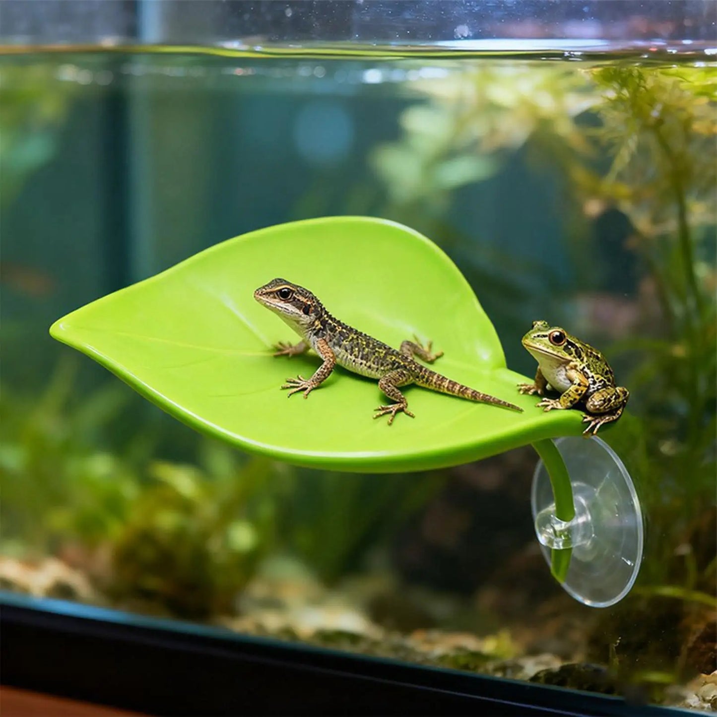 Leaf Suction Cup Basking Shelf for Frogs, Geckos & Reptiles