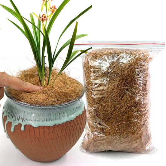 Natural Coconut Husk Fiber 50g–500g | Plants & Reptile Bedding