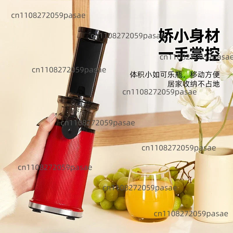 Mini Cold Press Slow Juicer with Pulp Separator | Oasis Select