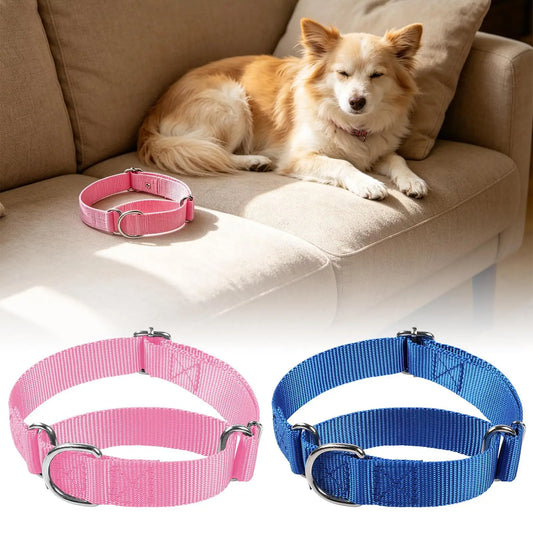 Cat Collar Anti-Punch Pet Supplies Adjustable Kitten Collar for Pet Parents Animal Lovers Trainers Caregivers Breeders Daily Peaceful Pleasures Health and Wellness