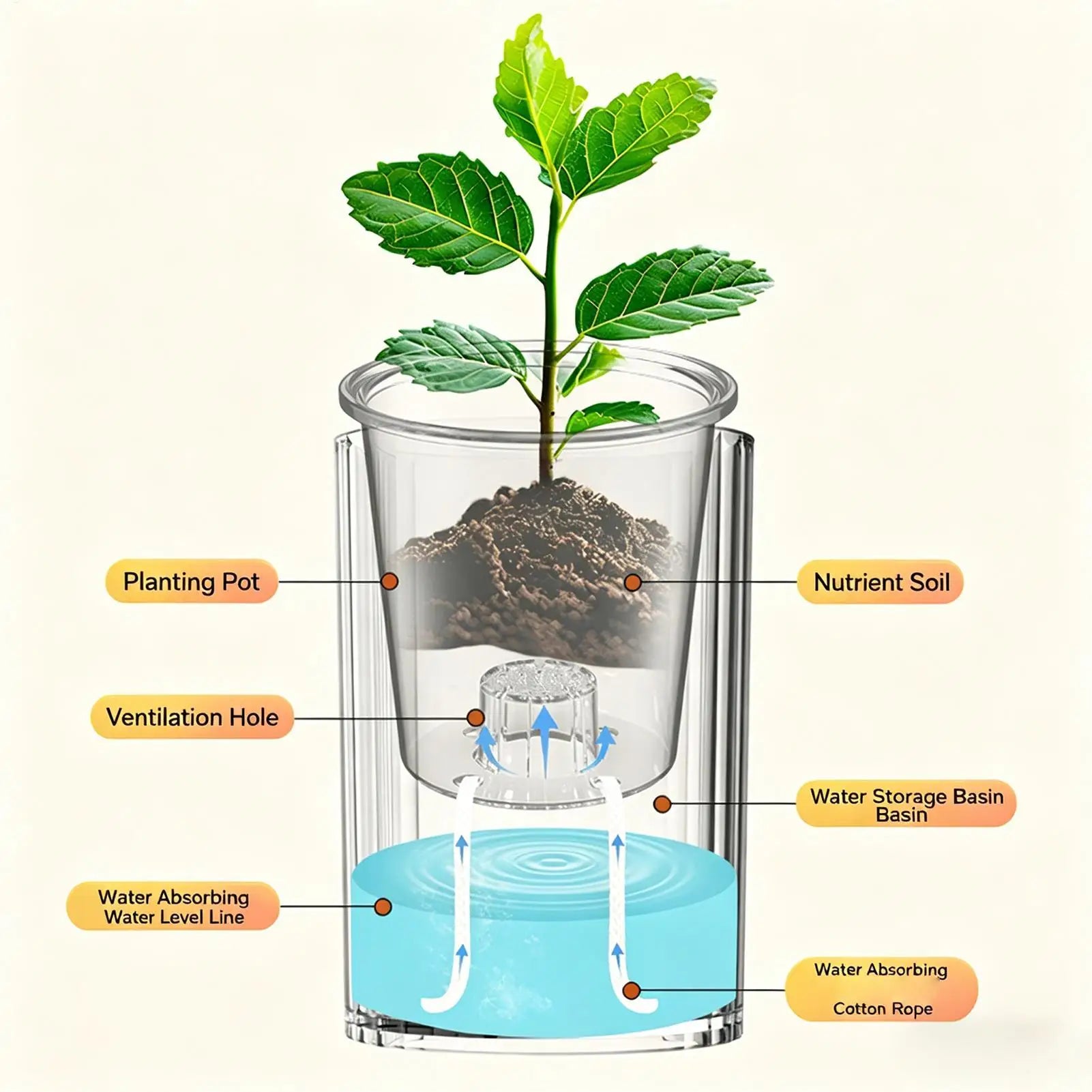 Self-Watering Double-Layer Flower Pot | Desktop Indoor Planter Self-Watering Planter Peaceful Pleasures Health and Wellness