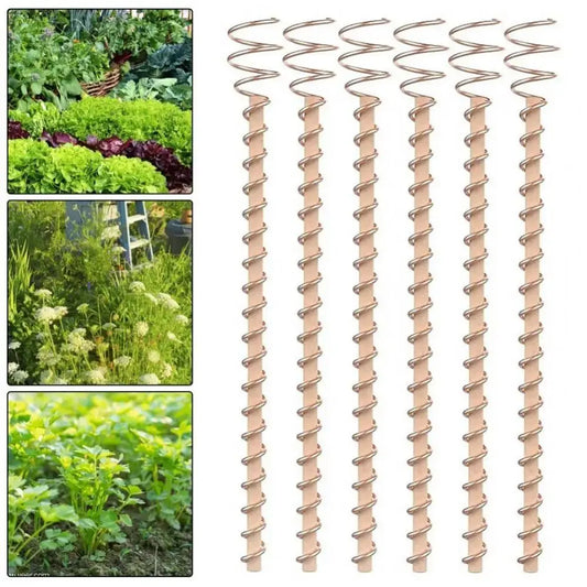 Copper Electroculture Plant Stakes – 30cm Bamboo & Copper Coil Garden Plant Stakes Oasis Select