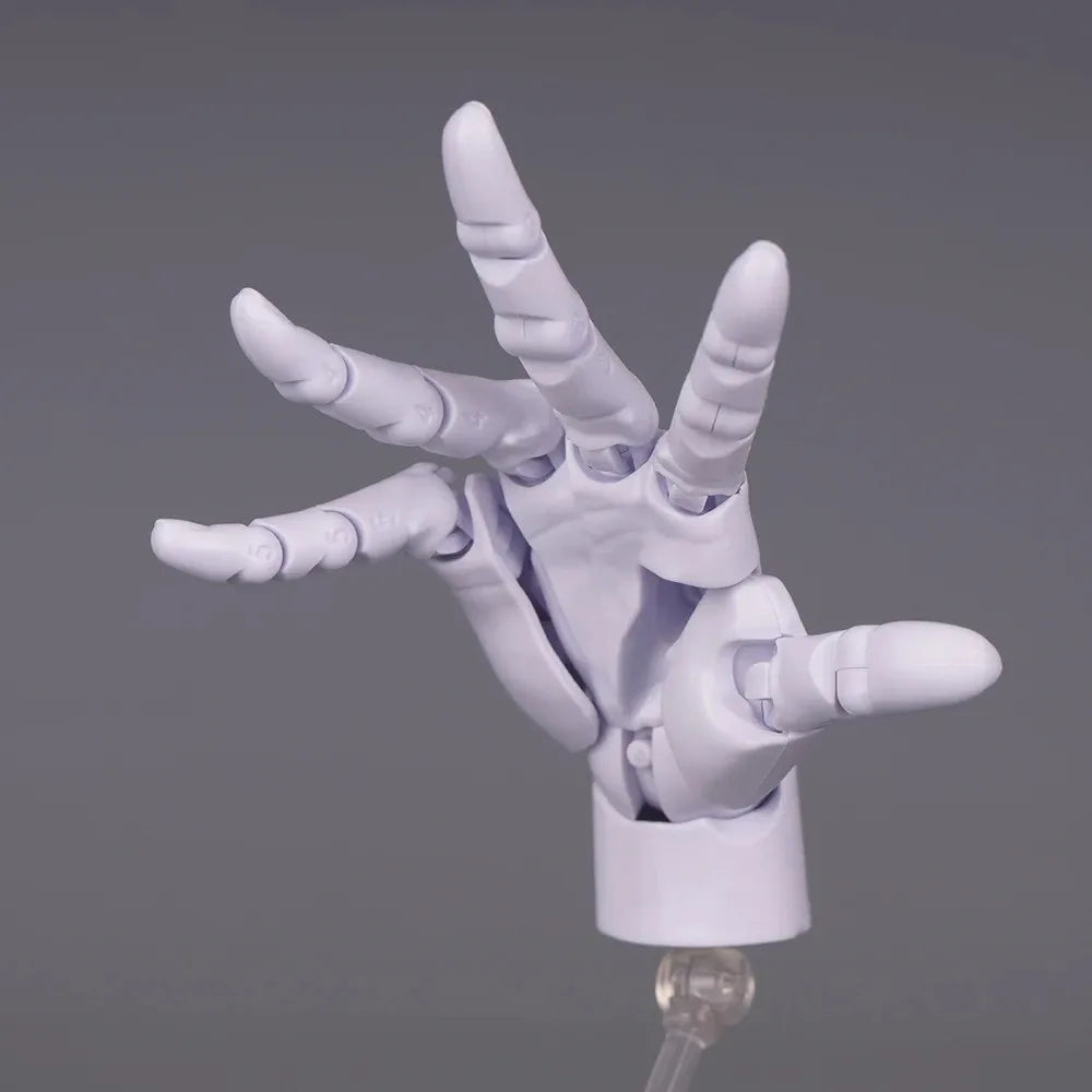1:2 Scale Articulated Hand Model – Posable Fingers for Artists
